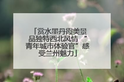 赏水墨丹霞美景 品独特西北风情 “青年城市体验官”感受兰州魅力