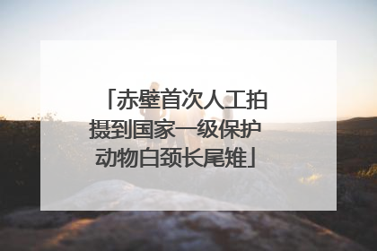 赤壁首次人工拍摄到国家一级保护动物白颈长尾雉