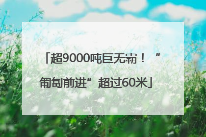 超9000吨巨无霸！“匍匐前进”超过60米