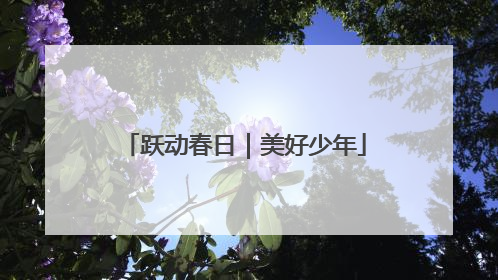跃动春日｜美好少年