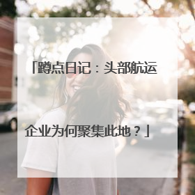 蹲点日记：头部航运企业为何聚集此地？