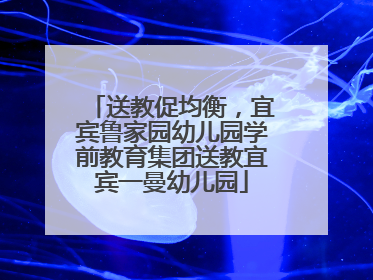 送教促均衡，宜宾鲁家园幼儿园学前教育集团送教宜宾一曼幼儿园