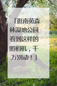 逛南苑森林湿地公园看到这样的照相机，千万别动！