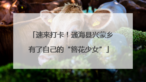 速来打卡！通海县兴蒙乡有了自己的“簪花少女”
