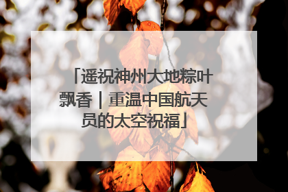 遥祝神州大地粽叶飘香｜重温中国航天员的太空祝福