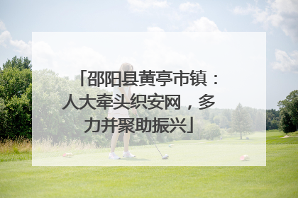 邵阳县黄亭市镇：人大牵头织安网，多力并聚助振兴