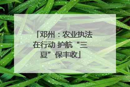 邓州：农业执法在行动 护航“三夏”保丰收