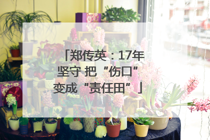 郑传英：17年坚守 把“伤口”变成“责任田”