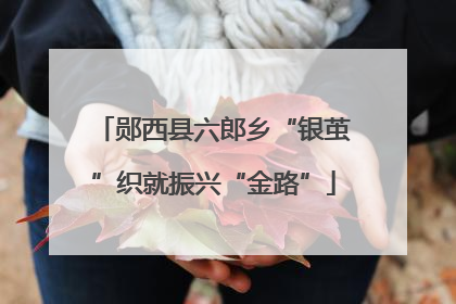 郧西县六郎乡“银茧”织就振兴“金路”