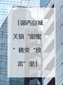 郧西县城关镇“甜蜜”桃变“致富”果