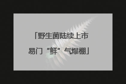 野生菌陆续上市 易门“鲜”气爆棚
