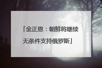 金正恩：朝鲜将继续无条件支持俄罗斯