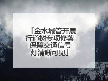 金水城管开展行道树专项修剪 保障交通信号灯清晰可见
