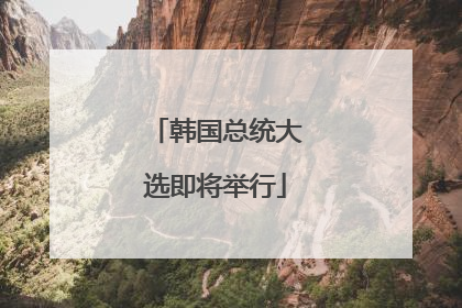 韩国总统大选即将举行