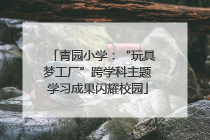 青园小学：“玩具梦工厂”跨学科主题学习成果闪耀校园