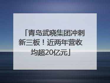 青岛武晓集团冲刺新三板！近两年营收均超20亿元