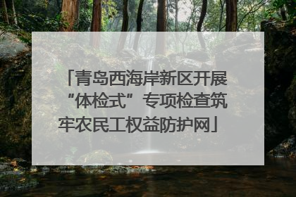 青岛西海岸新区开展“体检式”专项检查筑牢农民工权益防护网