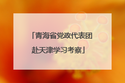 青海省党政代表团赴天津学习考察