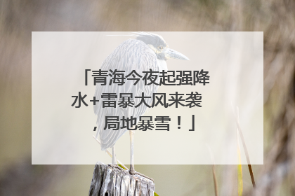 青海今夜起强降水+雷暴大风来袭，局地暴雪！