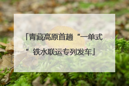 青藏高原首趟“一单式”铁水联运专列发车