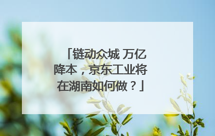 链动众城 万亿降本，京东工业将在湖南如何做？