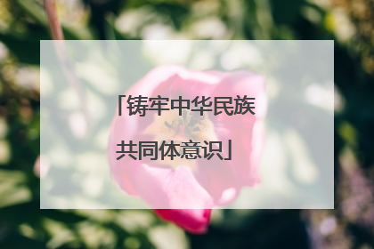 铸牢中华民族共同体意识