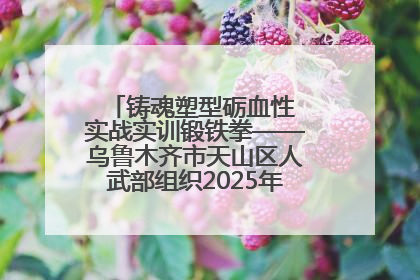铸魂塑型砺血性 实战实训锻铁拳——乌鲁木齐市天山区人武部组织2025年度民兵集中轮训