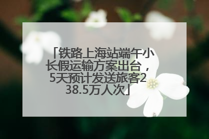 铁路上海站端午小长假运输方案出台，5天预计发送旅客238.5万人次