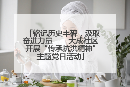 铭记历史丰碑，汲取奋进力量——大成社区开展“传承抗洪精神”主题党日活动