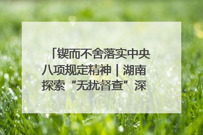 锲而不舍落实中央八项规定精神｜湖南探索“无扰督查”深化基层减负