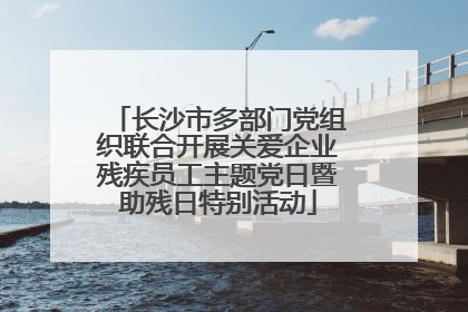 长沙市多部门党组织联合开展关爱企业残疾员工主题党日暨助残日特别活动
