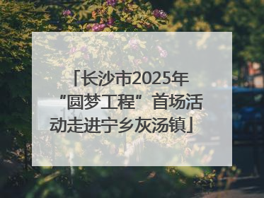 长沙市2025年“圆梦工程”首场活动走进宁乡灰汤镇