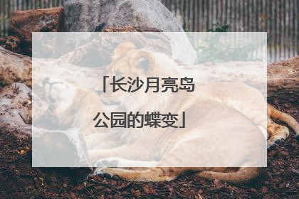 长沙月亮岛公园的蝶变