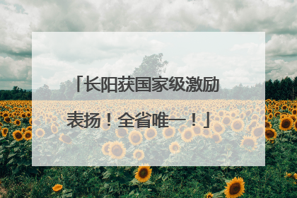 长阳获国家级激励表扬！全省唯一！