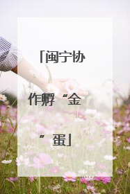 闽宁协作孵“金”蛋