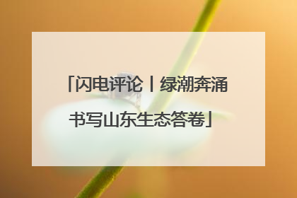闪电评论丨绿潮奔涌 书写山东生态答卷