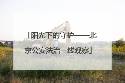 阳光下的守护——北京公安法治一线观察