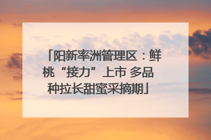 阳新率洲管理区：鲜桃“接力”上市 多品种拉长甜蜜采摘期