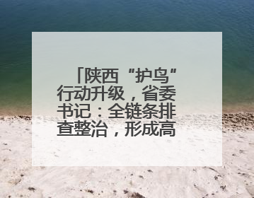 陕西“护鸟”行动升级，省委书记：全链条排查整治，形成高压震慑态势