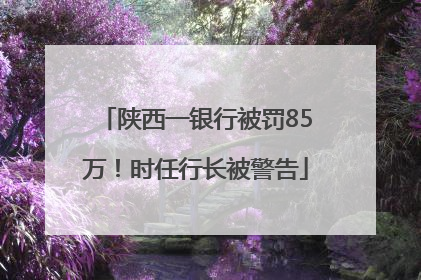 陕西一银行被罚85万！时任行长被警告
