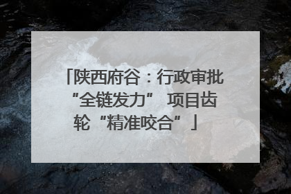 陕西府谷：行政审批“全链发力” 项目齿轮“精准咬合”