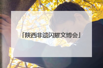 陕西非遗闪耀文博会