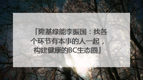 隆基绿能李振国：找各个环节有本事的人一起，构建健康的BC生态圈