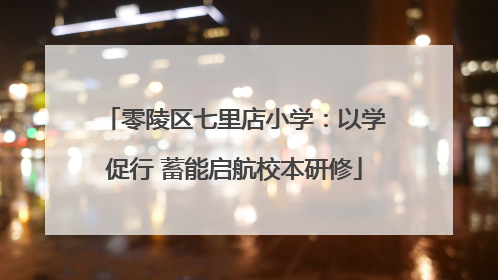零陵区七里店小学：以学促行 蓄能启航校本研修