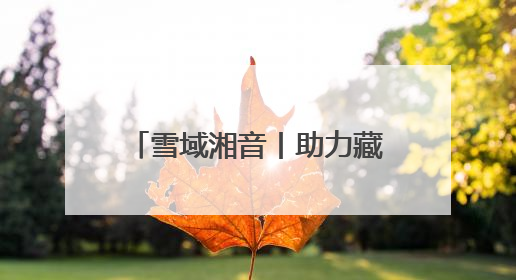 雪域湘音丨助力藏族青年就业 湖南援藏工作队建成西藏首个清洁能源装备园