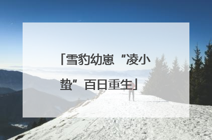 雪豹幼崽“凌小蛰”百日重生