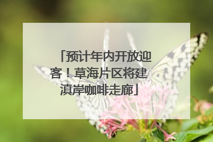预计年内开放迎客！草海片区将建滇岸咖啡走廊