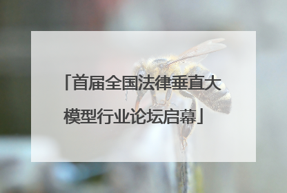 首届全国法律垂直大模型行业论坛启幕