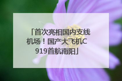 首次亮相国内支线机场！国产大飞机C919首航南阳