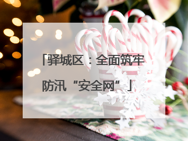 驿城区：全面筑牢防汛“安全网”